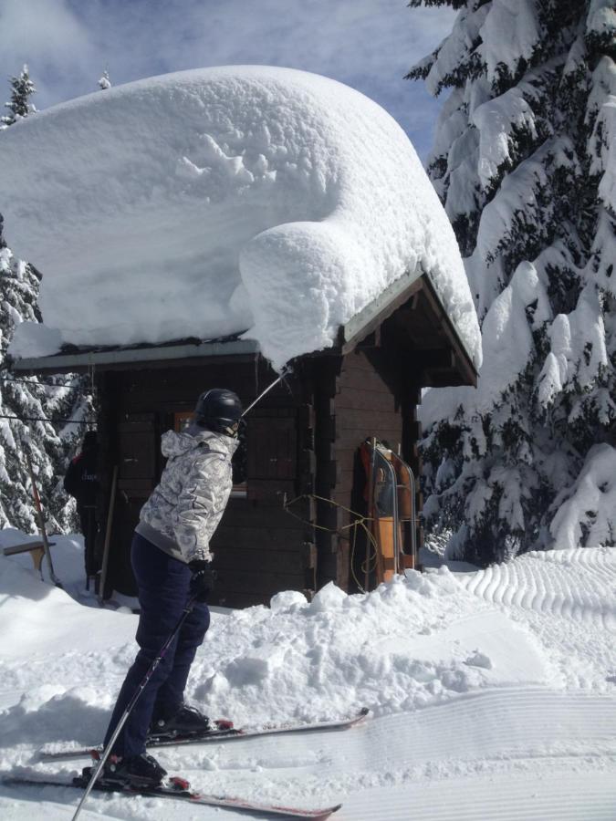Heerlijke Wandel Of Ski Vakantie In Torgon Portes Du Soleil Exterior foto